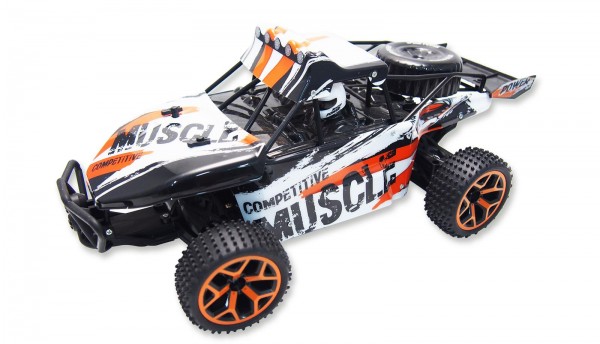 Sand Buggy Extreme D5 4WD 1:18 RTR